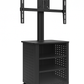 Rife Mobile Telehealth Workstation