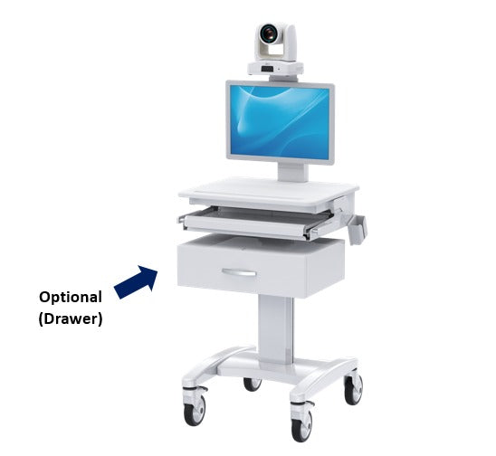 Telemedicine cart with camera mount